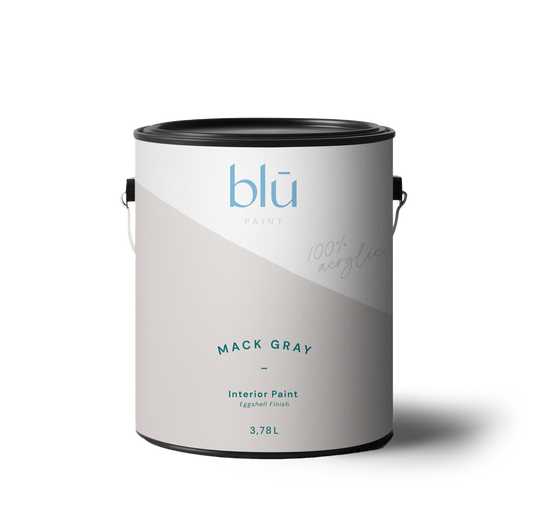 Blū Paint Mack Gray interior paint can with eggshell finish 3.78 liters on black background